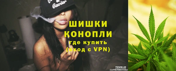 эйфоретик Бородино