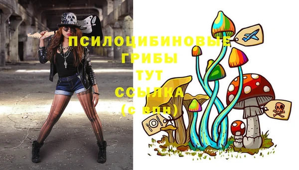 эйфоретик Бородино