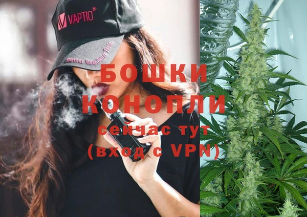 мдпв Верея