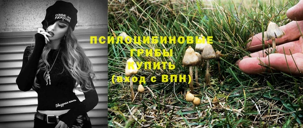 прущие крисы Бронницы