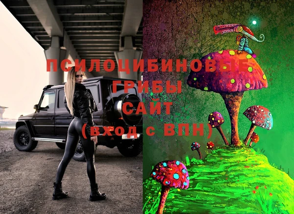 прущие крисы Бронницы